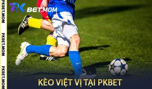 Kèo Việt Vị